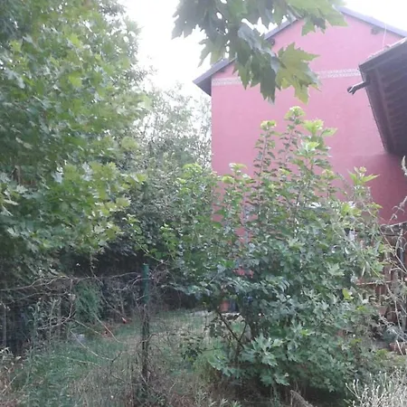 Nel Parco Vigevano